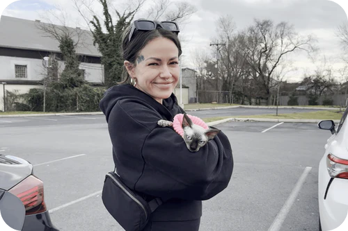 image_21_-min_9c824fb4-6149-4a83-a75d-8179c85e538c_500x